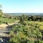 cerro_ii_parte_001