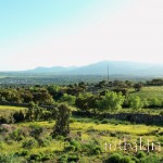 cerro_ii_parte_002