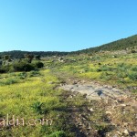 cerro_ii_parte_003