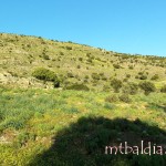 cerro_ii_parte_004