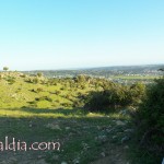 cerro_ii_parte_010